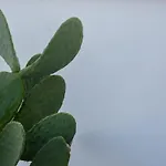 Dimora Lilla Feriehus