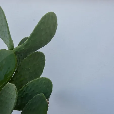 Dimora Lilla Semesterbostad