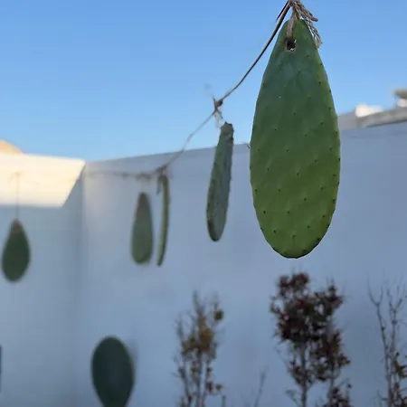 Dimora Lilla Polignano a Mare