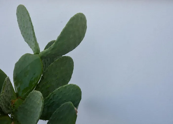 Dimora Lilla Feriehus