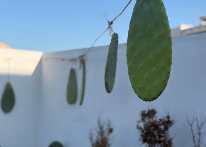 Dimora Lilla Polignano a Mare